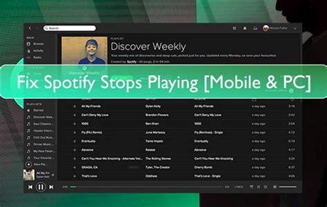 spotify 急に止まる iphone そして、なぜか猫が踊り始める